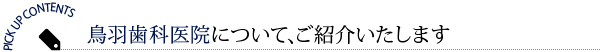 鳥羽歯科医院について
